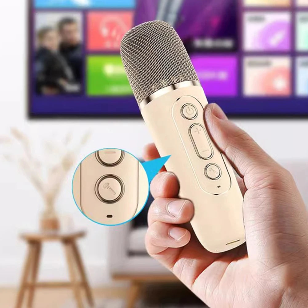 K12 Bluetooth Karaoke Machine