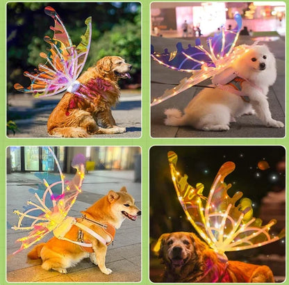 Electric Butterfly Wings With Music Lights
